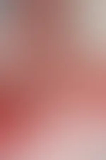 Hättest du lieber ein Valentinstags-Dinner oder einen geilen Blowjob unterm Tisch? 😏🔥