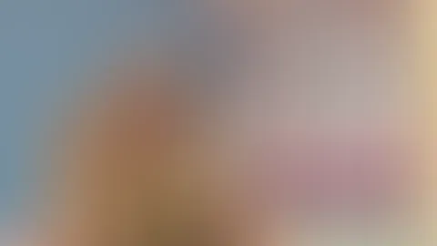 Guten Morgen🥰 ich wünsche dir einen schönen Tag!