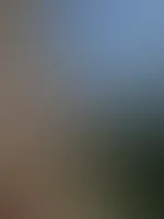 Na, wie findet ihr den Ausblick ? đđŠ