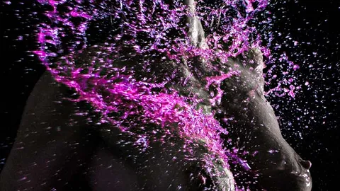 Mit Farbe im Studio