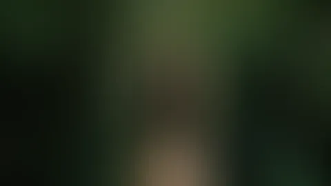 🔥🌿🍃🌱