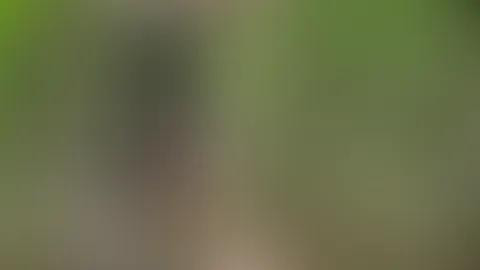 Im schwarzen Nylonkleid im Wald