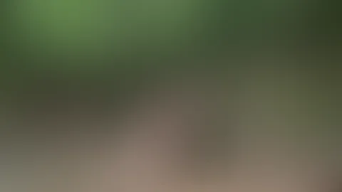 Ich glaube ich hab mich im Wald verlaufen😜
