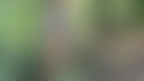 Erwischt beim P**sen, was dann geschah , damit hat keiner gerechnet ….