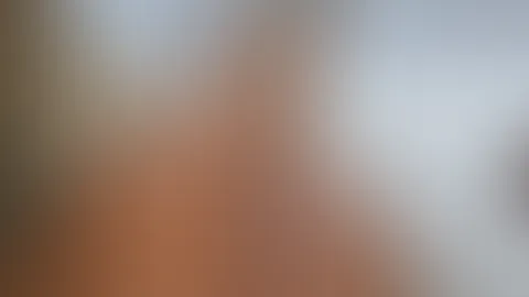 Starte gut in den Sonntag 😋 Sitze gerade beim Frühstück und du?