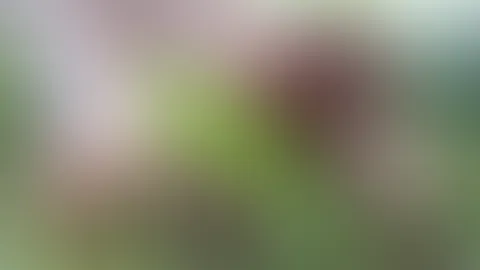 Wetter genießen ☺️ist es dir auch so heiß wie mir ?