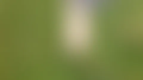 Sommer sonne đ und nackte FĂŒĂe