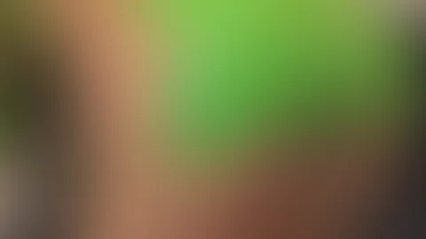 🙈🙈