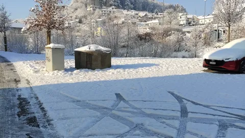 P**se auf den Waldweg