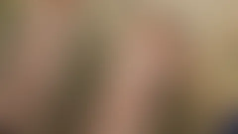Wie findet ihr die kleider?