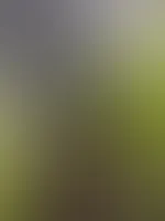 đżđđ