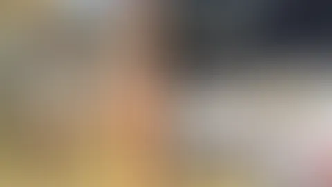 AnhĂ€ngerkupplung 2.0