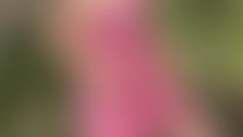 Na, wie gefällt Dir das?