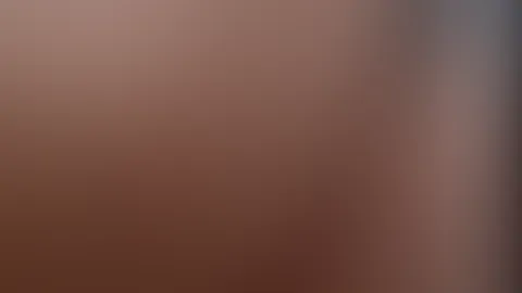 😼