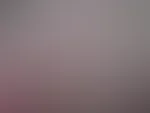 Mein dicker Vibrator