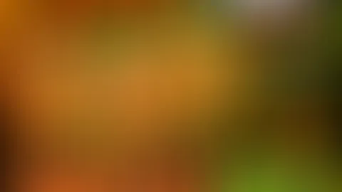 20% AUF MEINEN FEED! MIT DEM CODE : RISEUP2026