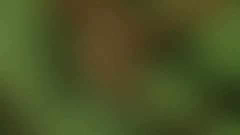 Ein bisschen spaß mit meiner F**kmaschine..