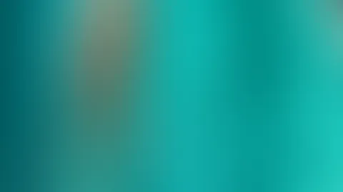 Die Abkühlung für die heißen Tage 🌊🐚
