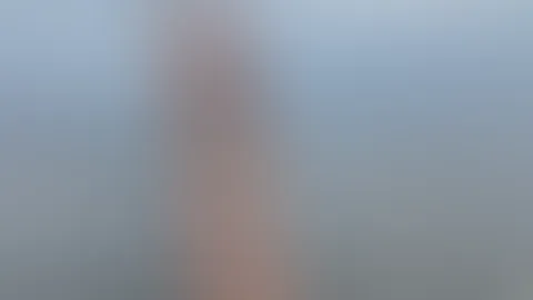 die perfekten Kurven deiner Göttin