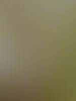Nackt sein in der Natur ist einfach das Beste GefĂŒhl der Welt đ€©