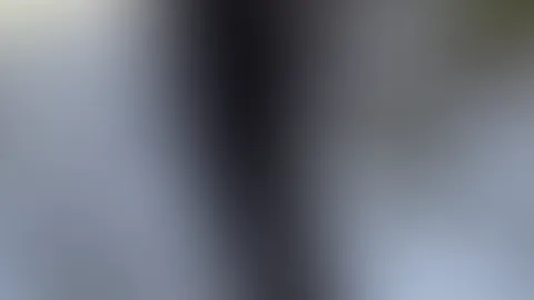 đ