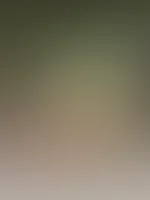 Entblößung in der Öffentlichkeit