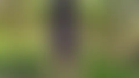 Barfuß durch frisches Gras… 🌿 Das ist purer Genuss im Moment. Warme Sonnenstrahlen, weiches Gras unter den Füßen, sanfter Wind und totale Freiheit