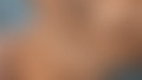 Möpsis