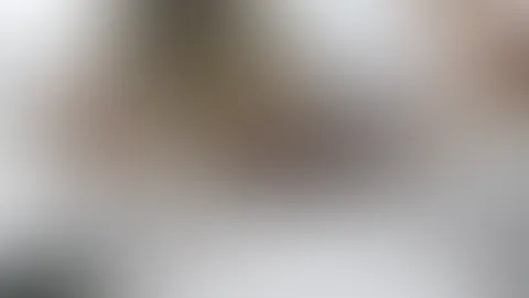 Verbotene Stöße auf hoher See! Werden wir Erwischt?