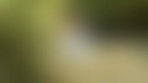 Ich hatte am Montag ziemlich geile Action auf nem Paddelboot. Folgt bald mehr 🔥