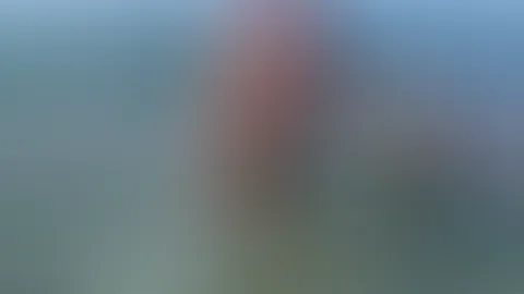 S*x abd Blowjob on the Beach plus Bonus