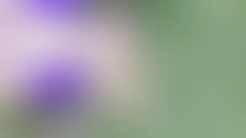 Kleine Abkühlung gefällig ? 💦😋