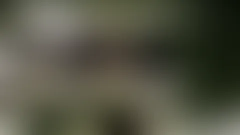 🔥🌿 - #3