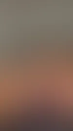 Willst du sehen wie geil er in meinem A***h vibriert?đ„”