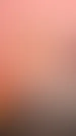 đ Geschenkpapier war gestern â ich bin das, was du dir wĂŒnschst! đ