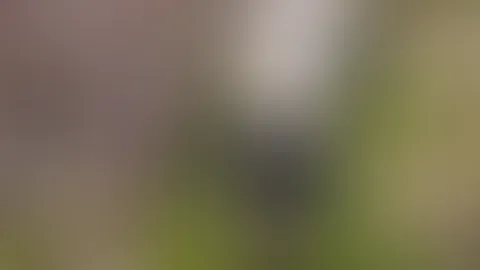 Der Frühling bringt mich auf Ideen... Willst du sie sehen?🥰
