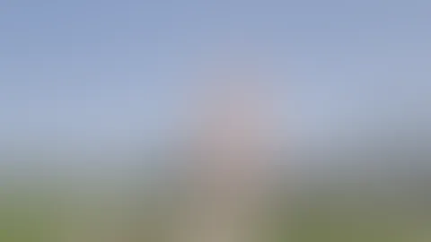 Häschen in freier Wildbahn