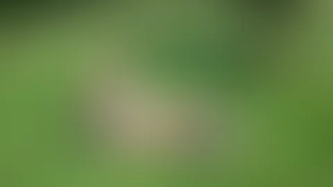„Mein Körper ist mein Zuhause, keine Visitenkarte für die Gesellschaft