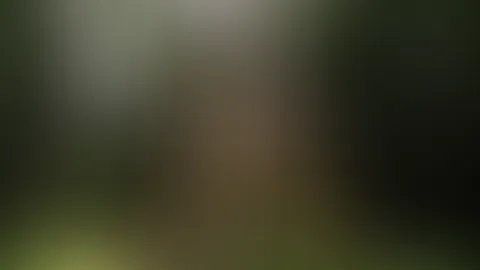 Vorgeschmack auf's Neue Video