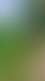 🌿 Muttertag – aber anders. 🌿 Heute feiern viele die Frau, die sie geboren hat. Ich feiere die Kraft, die Männer auf die Knie zwingt. Weibliche Dominanz ist keine Rolle. Sie ist Ursprung. Sie nährt,