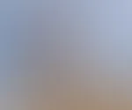 und wenn der Hafer sticht, dann denke ich nur noch an schlimme Sachen! - Nackt ausziehen zum Beispiel! - An was denkt ihr so?