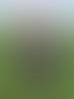 Ich liebe es in den Natur