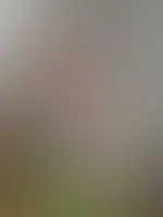 Hattest du einen geilen Tag? 😈 Meine Titten würden ein bisschen Zuneigung benötigen 🥵