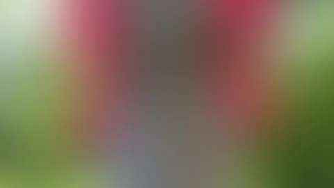 In der Natur ausziehen. Was gibt es schöneres? 🤭🫶🏻