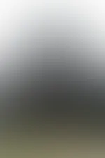 Mein Fotoshooting mit dem Fendt 824 Vario