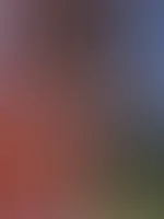 ⚠️⚠️⚠️