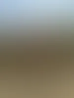 Lust auf eine runde im Feld ?đ„”đ