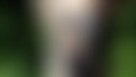 Ölmassage im Sonnenschein 18+