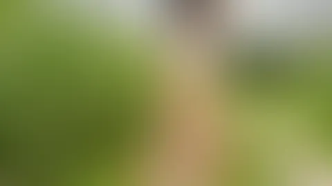 Nur im transparenten hellblauen Dessous stehe ich auf dem Feldweg đđ„