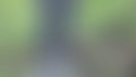 Ich war im Wald🤭 Erst hab ich mich voll gep**st 💦danach hab ichs mir schön mit dem dildo gemacht bis ich gekommen bin 🥵
